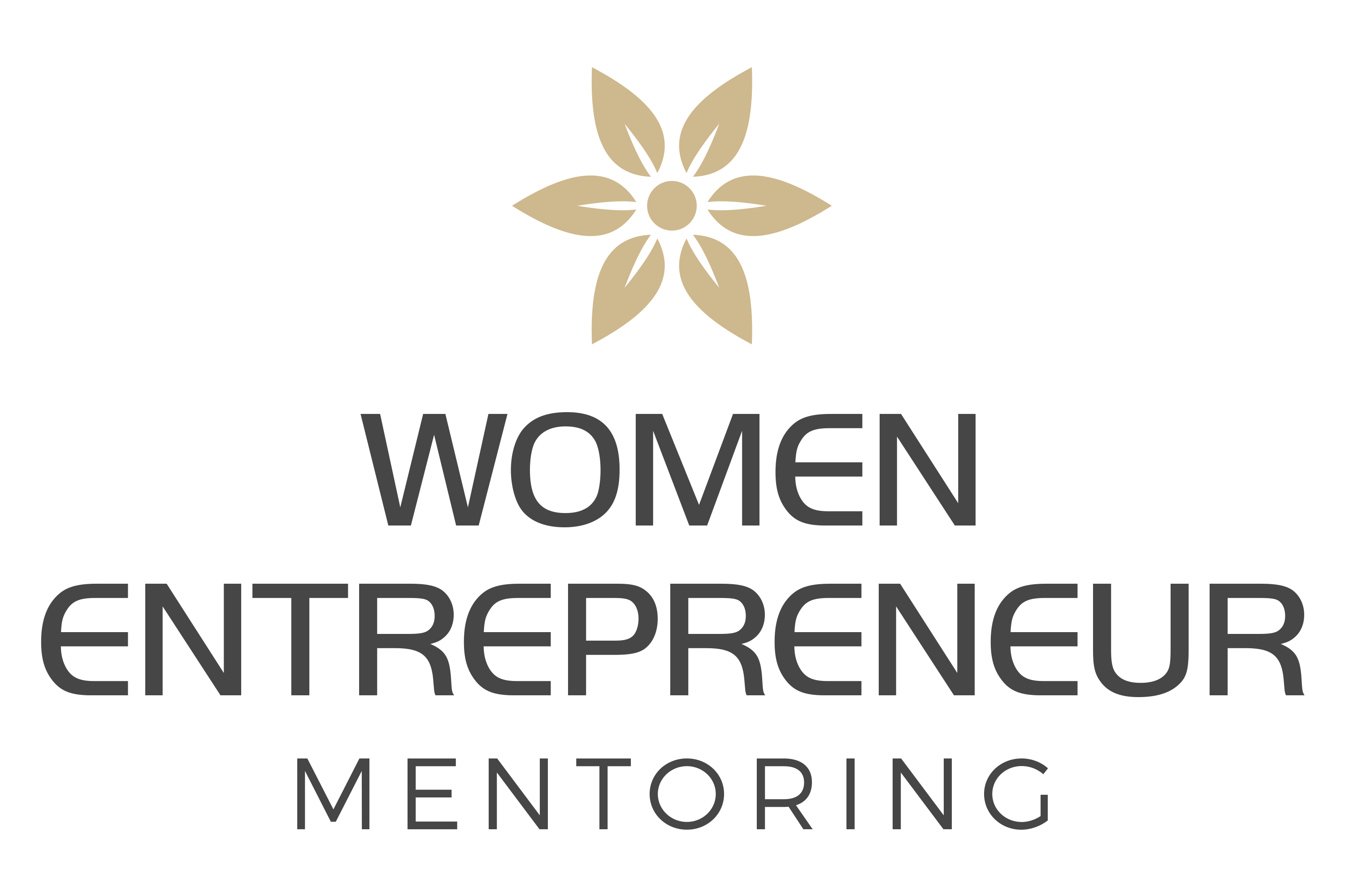 Women Entrepreneur Mentoring